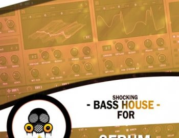 Vandalism Shocking Bass House For Serum 2