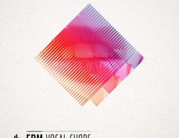 Diginoiz EDM Vocal Chops