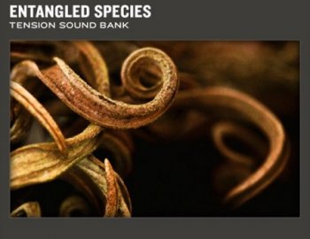 AAS Entangled Species v1.1 (Ableton Live)
