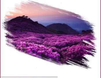 Laniakea Sounds Melodic Deep House Vol 3