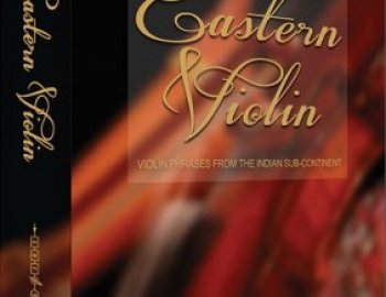 Zero-G Eastern Violin