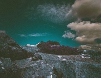 Touch Loops Organic Electronic