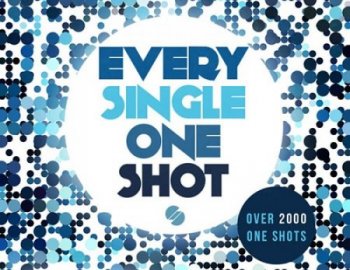 System 6 Samples Every Single One Shot