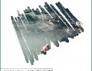 Laniakea Sounds Potential Movements