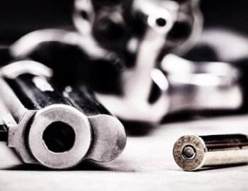 Shroom Analog One Shots Vol 3