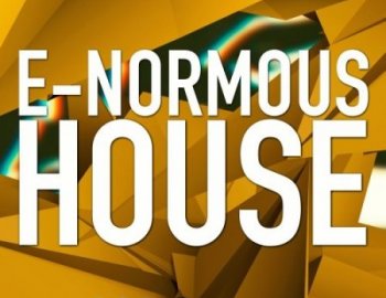 Audentity E-Normous House