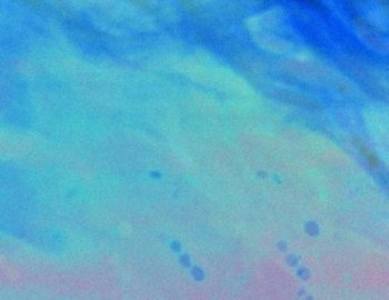 Noiz Pat Pardy Broken Modular