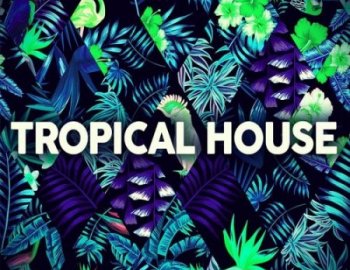 Function Loops Tropical House