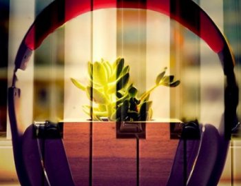 Borilla Human Nature