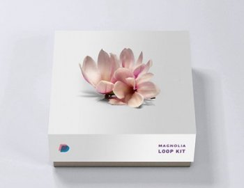 DrumVault Magnolia Stem Kit