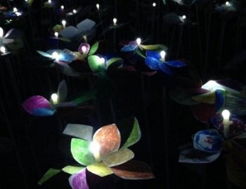 43% Giant Warped Frequencies