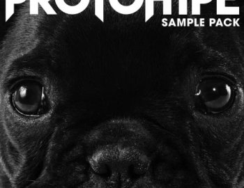 Splice Sounds Protohype Sample Pack