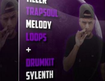 Diamond Loopz Trapsoul Melody Loops