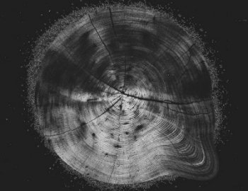 Sample Magic Lo-Fi Techno