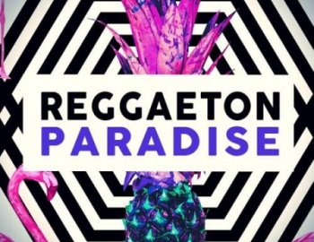 Function Loops Reggaeton Paradise