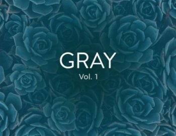Aubit Gray Vol.1