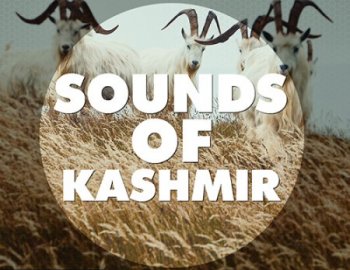 Big EDM Sounds Of Kashmir