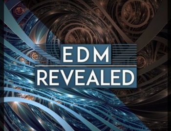 Killer Tone EDM Revealed