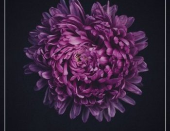 Unmute Awake For Serum