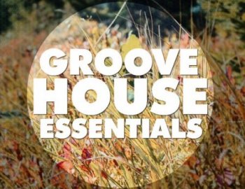 Big EDM Groove House Essentials