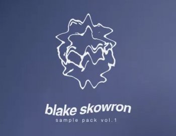 Splice Sounds Blake Skowron Sample Pack