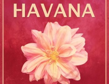 Echo Sound Works HAVANA