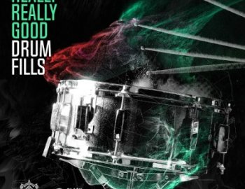 Black Octopus Sound Really Really Good Drum Fills