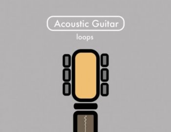 Samplified All Acoustic Guitar Chords and Loops