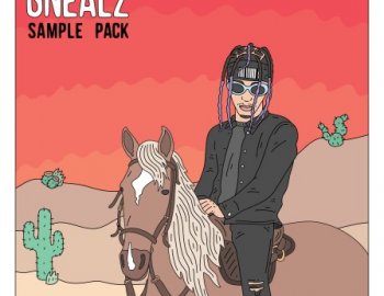 Splice Sounds Gnealz Thats It Right There Sample Pack