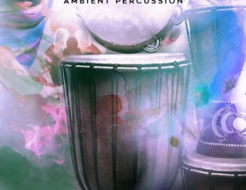 Black Octopus Sound Minimal Ambient Percussion