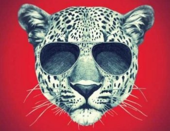 Function Loops Pop Business