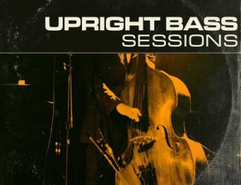 Touch Loops Upright Bass Sessions