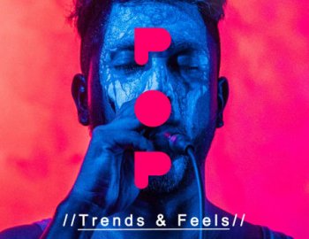 Samplestar Pop Trends And Feels