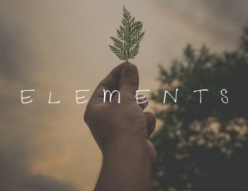 Freak Music Elements