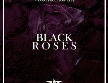 OldyM Beatz Black Roses