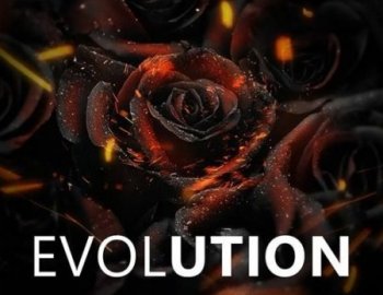 Cartel Loops Evolution