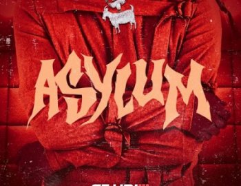 Studio Sounds - Asylum Xfer Serum Bank