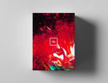 WavSupply Nick Mira Ocelot Melody Pack