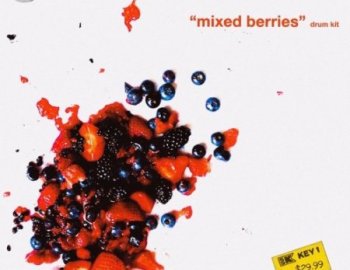 Treesound Mike Hector Mixed Berries Drum Kit