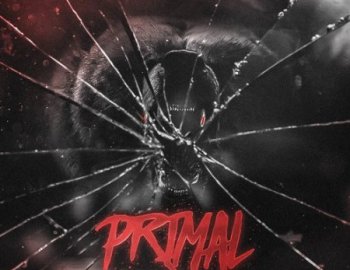 2DEEP Primal Volume 1