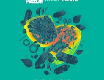 Splice Sounds Fabian Mazur The Jungle