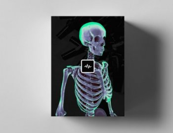 WavSupply Nick Mira Phantom Loop Kit