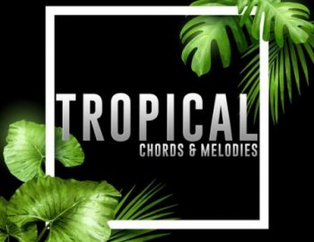 Concept Samples Tropical Chords and Melodies