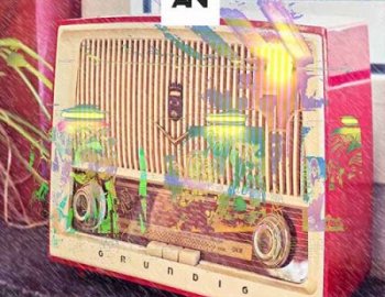 About Noise Organic Loops