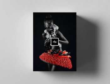 WavSupply Sidepce Brink MIDI Kit