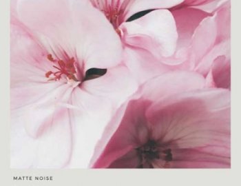 GOGOi Pb-Soul for Massive