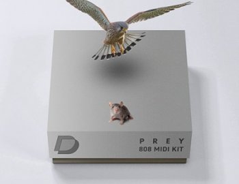 Drumvault Prey 808 MIDI Loop Kit