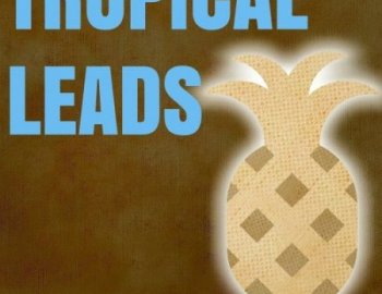 Out Of Your Shell Tropical Leads