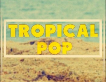 Out Of Your Shell Tropical Pop