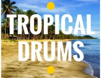 Out Of Your Shell Tropical Drums